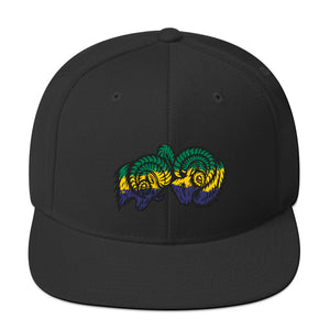 Brazilian Ombre Bighorns Snapback Hat