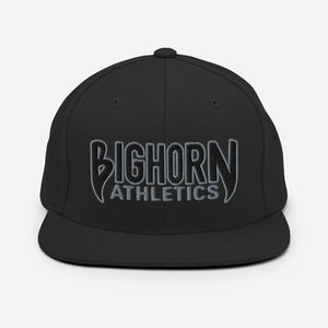 "Iron Sharpens Iron" Snapback Hat