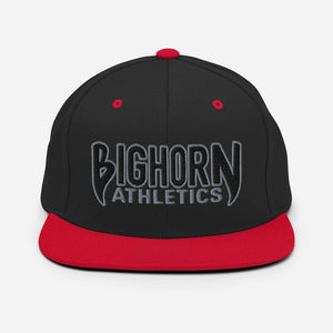 "Iron Sharpens Iron" Snapback Hat