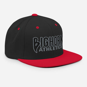 "Iron Sharpens Iron" Snapback Hat