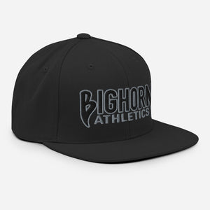 "Iron Sharpens Iron" Snapback Hat