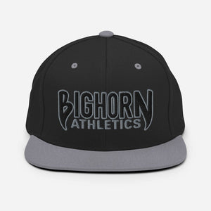 "Iron Sharpens Iron" Snapback Hat