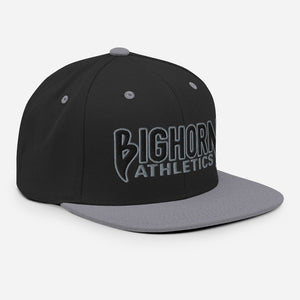 "Iron Sharpens Iron" Snapback Hat