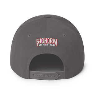 Jiu Jitsu Journal Snapback Hat