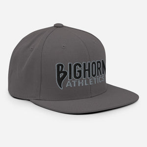 "Iron Sharpens Iron" Snapback Hat