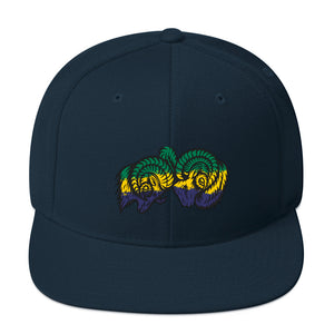 Brazilian Ombre Bighorns Snapback Hat