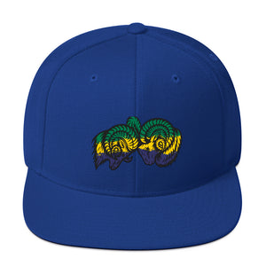 Brazilian Ombre Bighorns Snapback Hat