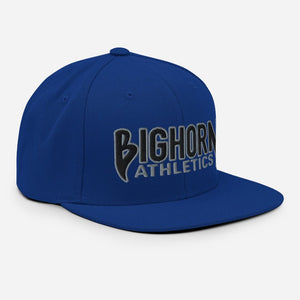 "Iron Sharpens Iron" Snapback Hat